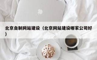 乐平北京自制网站建设（北京网站建设哪家公司好）
